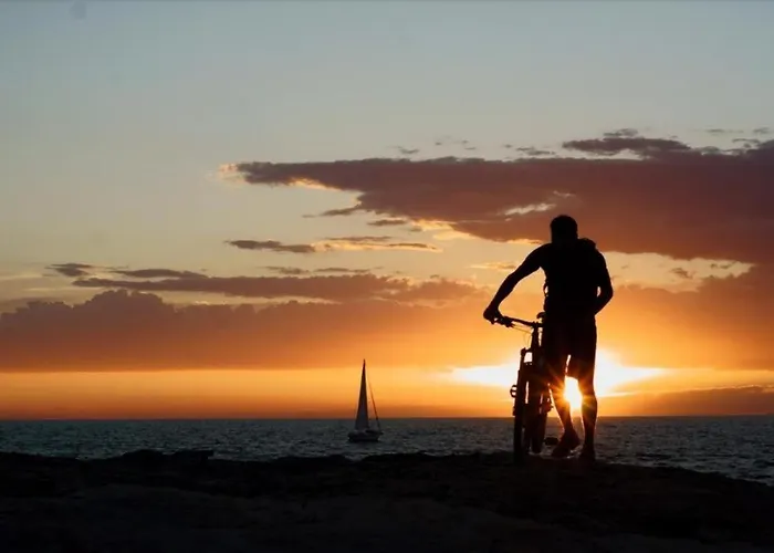 Percan 프레멘투라